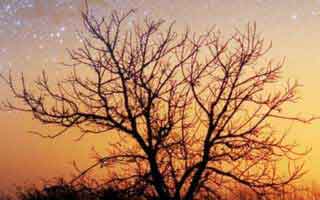 别急着搜爱游戏APP，先做这一步验证：看页面脚本