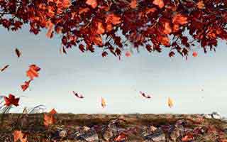 99tk相关骗局复盘：他们最爱利用的心理是焦虑：域名、证书、签名先核对