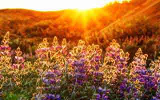 说句扎心的：澳门六合彩最伤人的不是输赢，而是信息泄露：这比你想的更重要