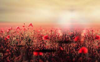 我试了一次：关于爱游戏官方网站的钓鱼链接套路，我把关键证据整理出来了