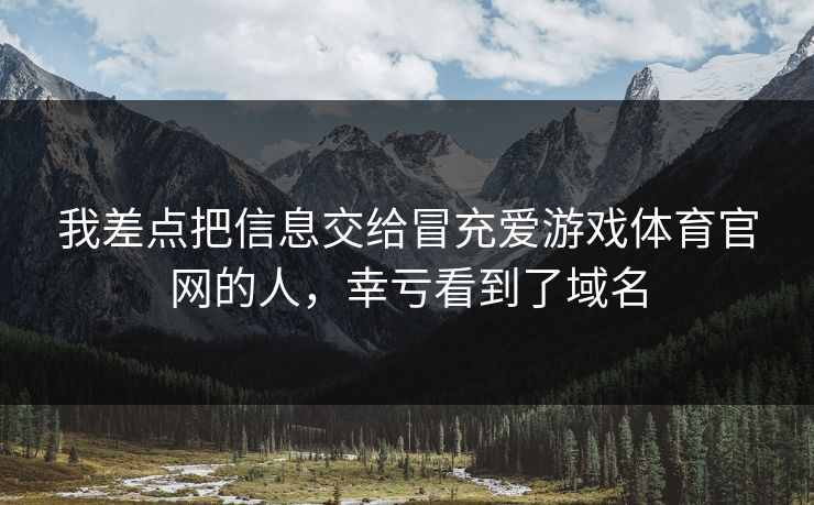 我差点把信息交给冒充爱游戏体育官网的人，幸亏看到了域名
