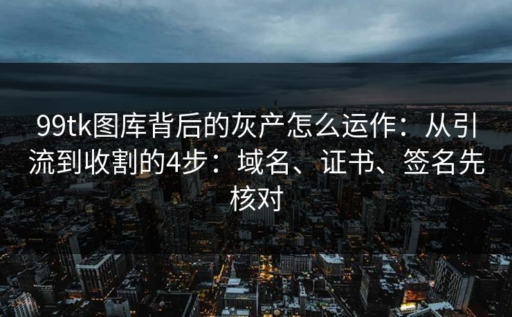 99tk图库背后的灰产怎么运作：从引流到收割的4步：域名、证书、签名先核对