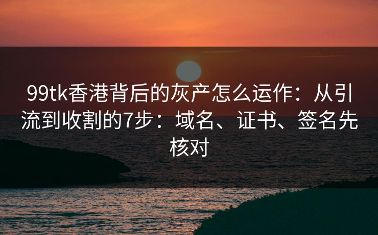 99tk香港背后的灰产怎么运作：从引流到收割的7步：域名、证书、签名先核对